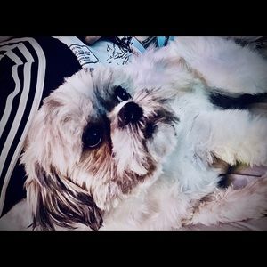 Meet your Posher, Alexis